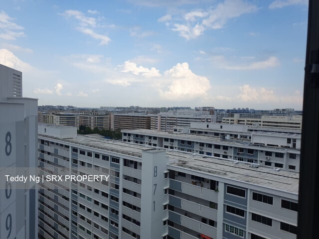 Blk 869A Tampines Greenwood (Tampines), HDB 3 Rooms #452832751